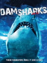 Dam Sharks (Tam + Eng) 