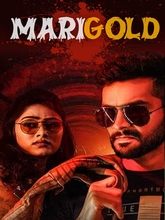 Marigold (Hindi) 